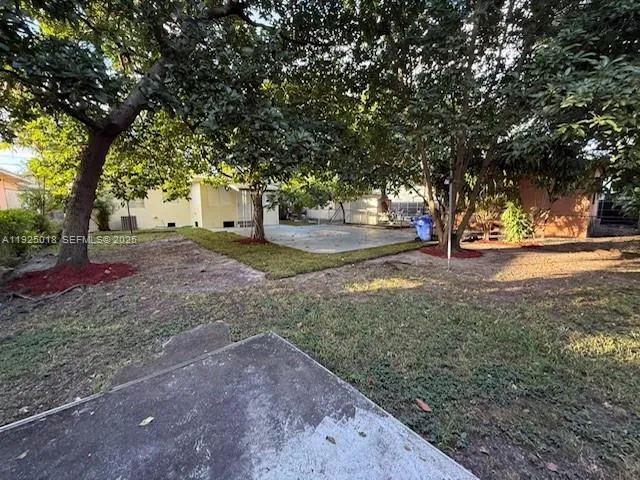 a view of a tree in the middle of a yard