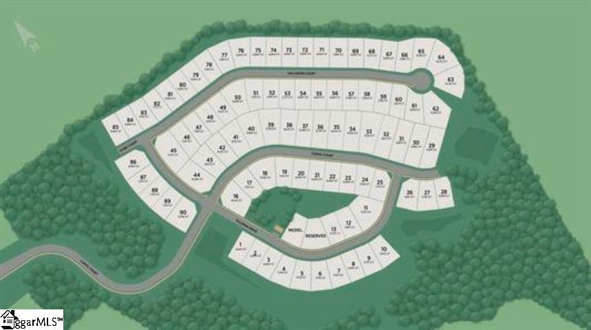 453 Galleron Court Fountain Inn, SC 29644 - Photo 4 of 4