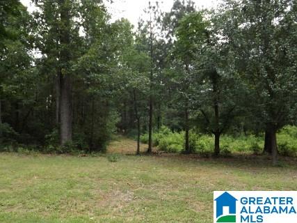 0 Perseverance Lane Odenville, AL 35120 - Photo 4 of 13