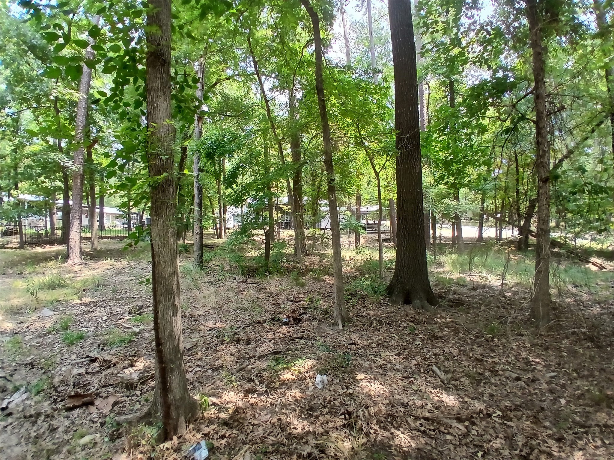Lot #26 Private Road Pittsburg, TX 75686 - Photo 11 of 16 Gallery Image 11