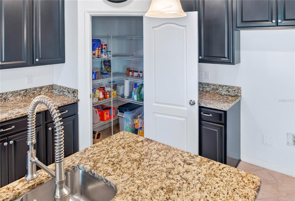 13415 White Sapphire Road Riverview, FL 33579 - Photo 18 of 96