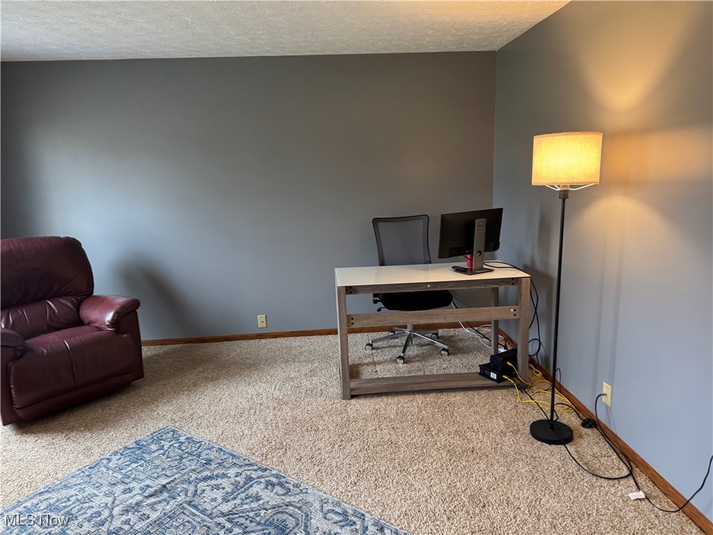 3530 State Road Medina, OH 44256 - Photo 7 of 47 Carpeted office space with a textured ceiling