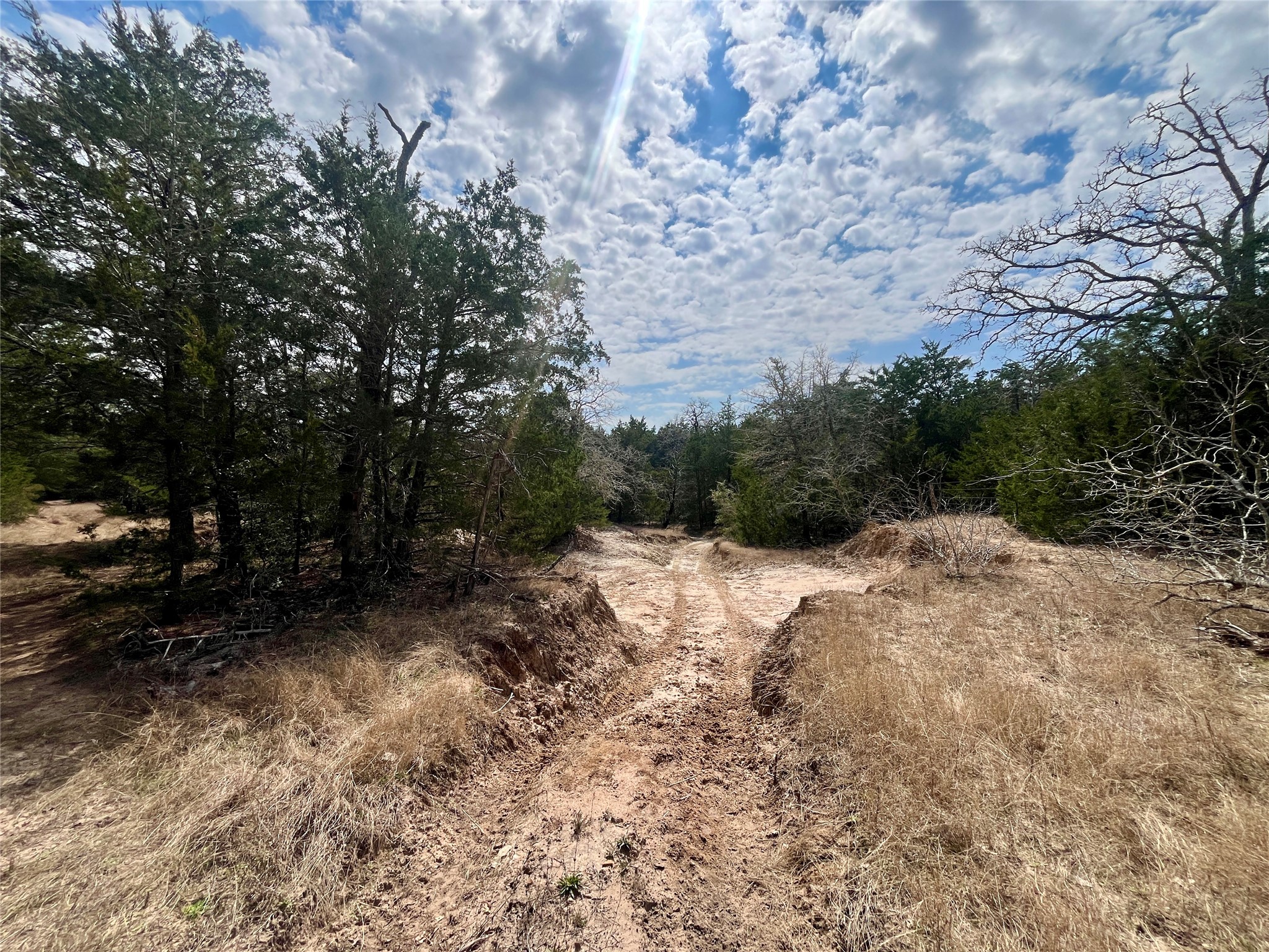 2330 Old Lockhart Road West Point, TX 78963 - Photo 11 of 22 a view of a dry yard with trees