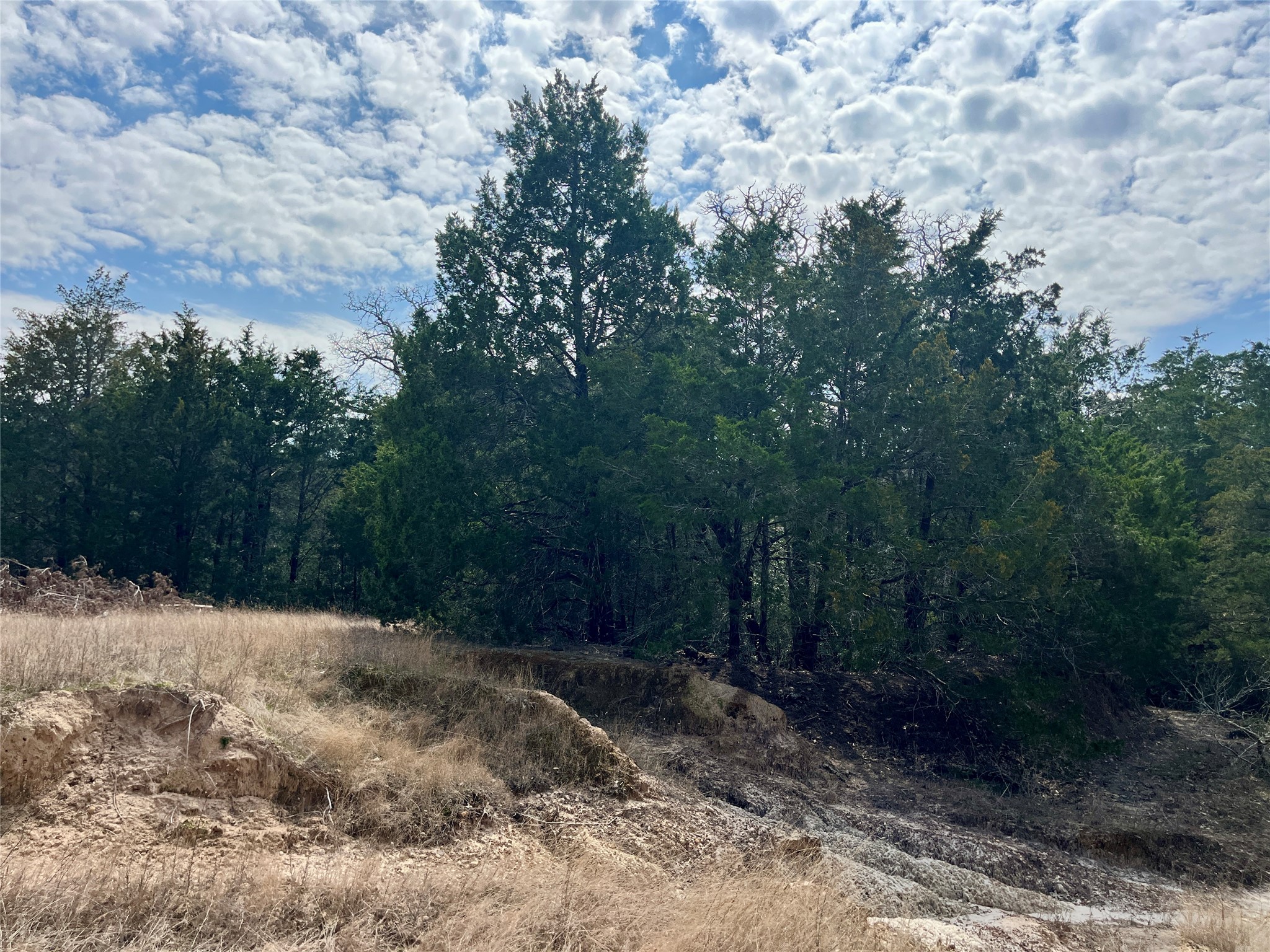 2330 Old Lockhart Road West Point, TX 78963 - Photo 12 of 22