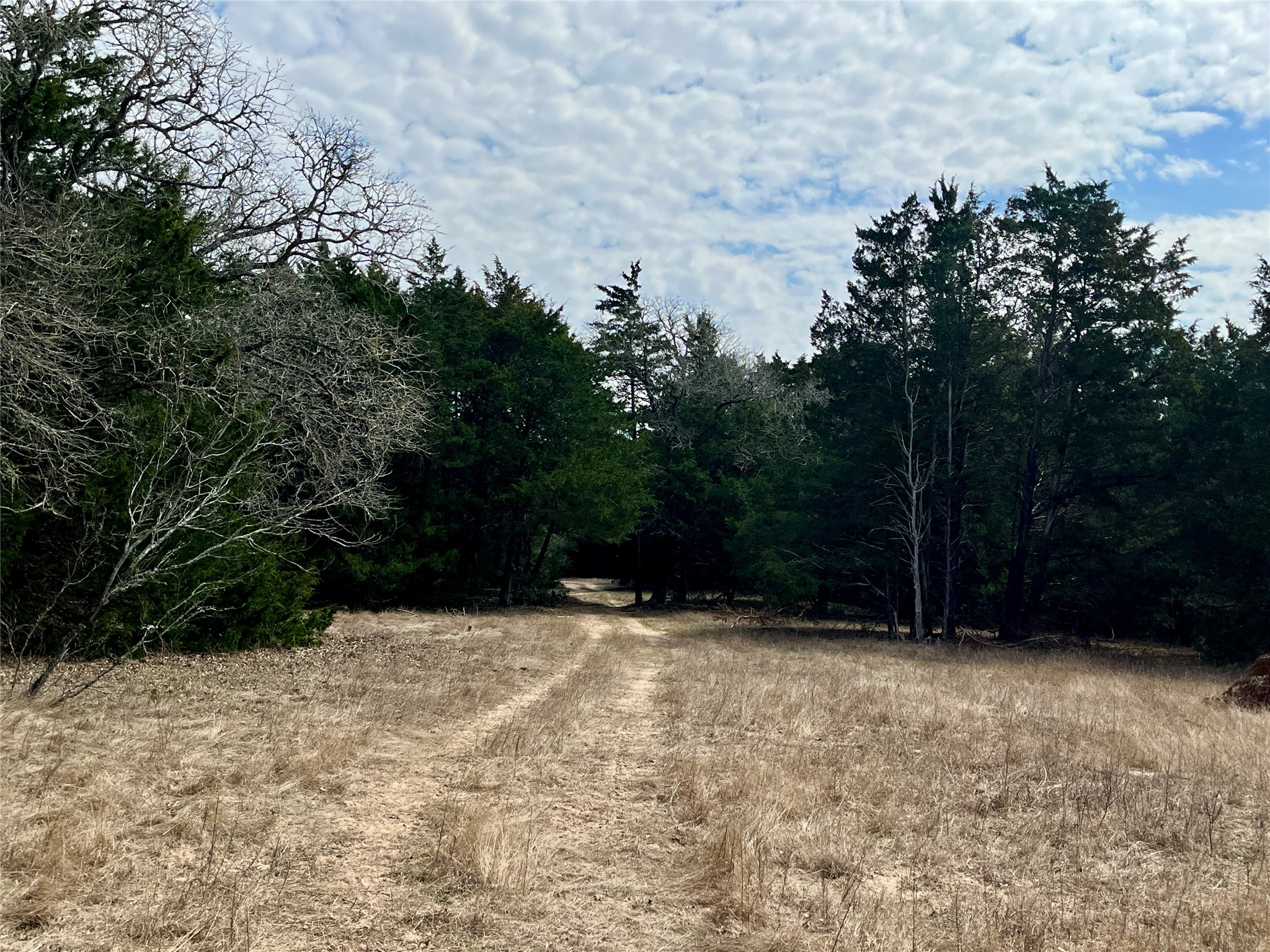 2330 Old Lockhart Road West Point, TX 78963 - Photo 13 of 22 a view of wooden fence