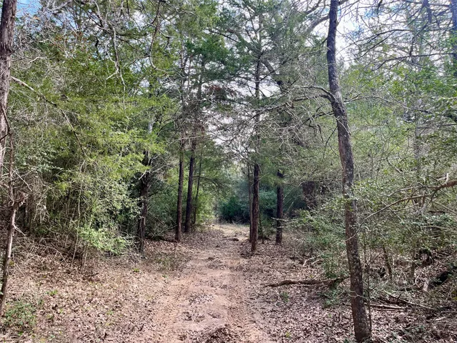 $317,640 | 2330 Old Lockhart Road, West Point, TX 78963