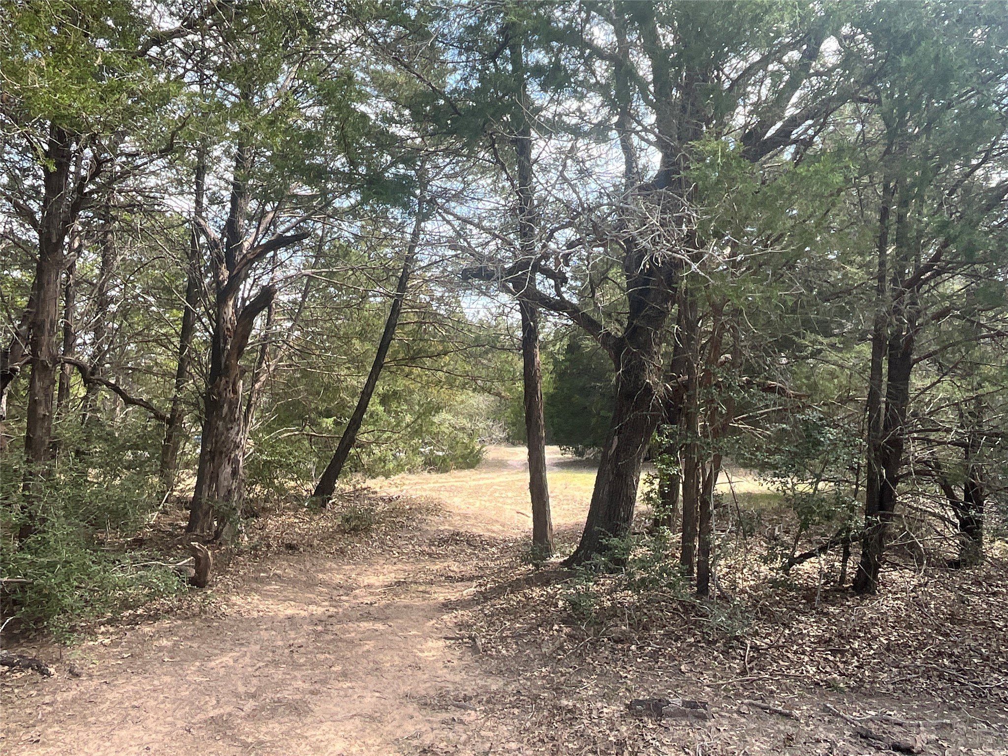 2330 Old Lockhart Road West Point, TX 78963 - Photo 18 of 22 a view of outdoor space and trees
