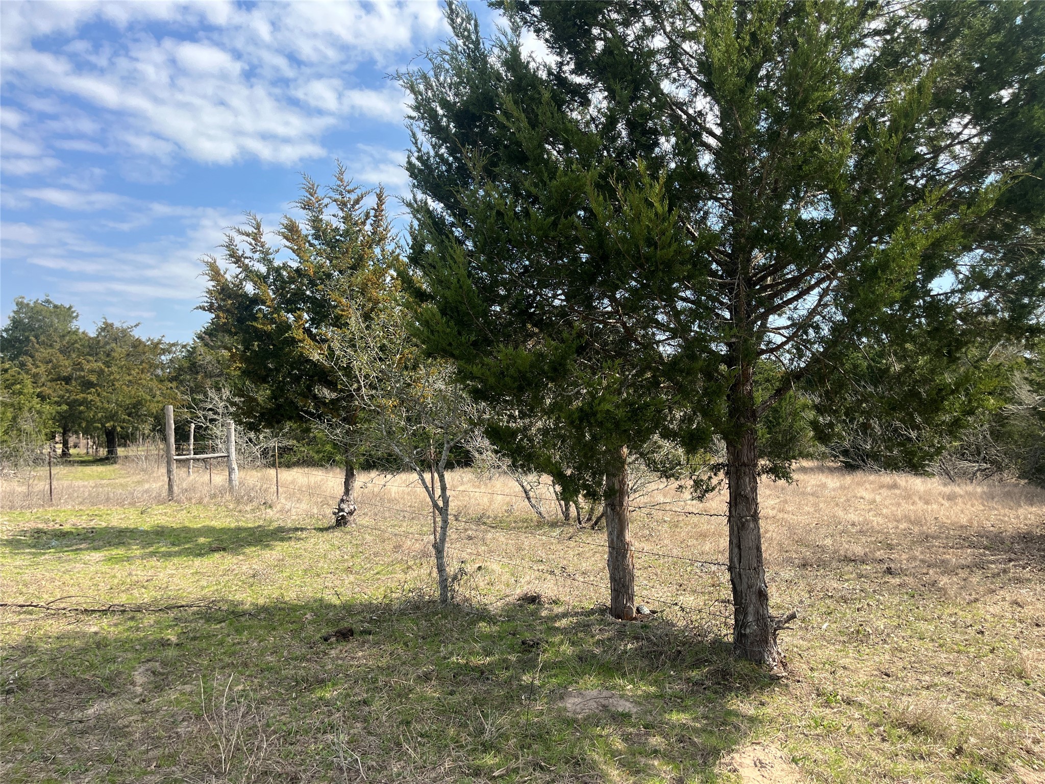 2330 Old Lockhart Road West Point, TX 78963 - Photo 20 of 22 a view of a yard with a tree
