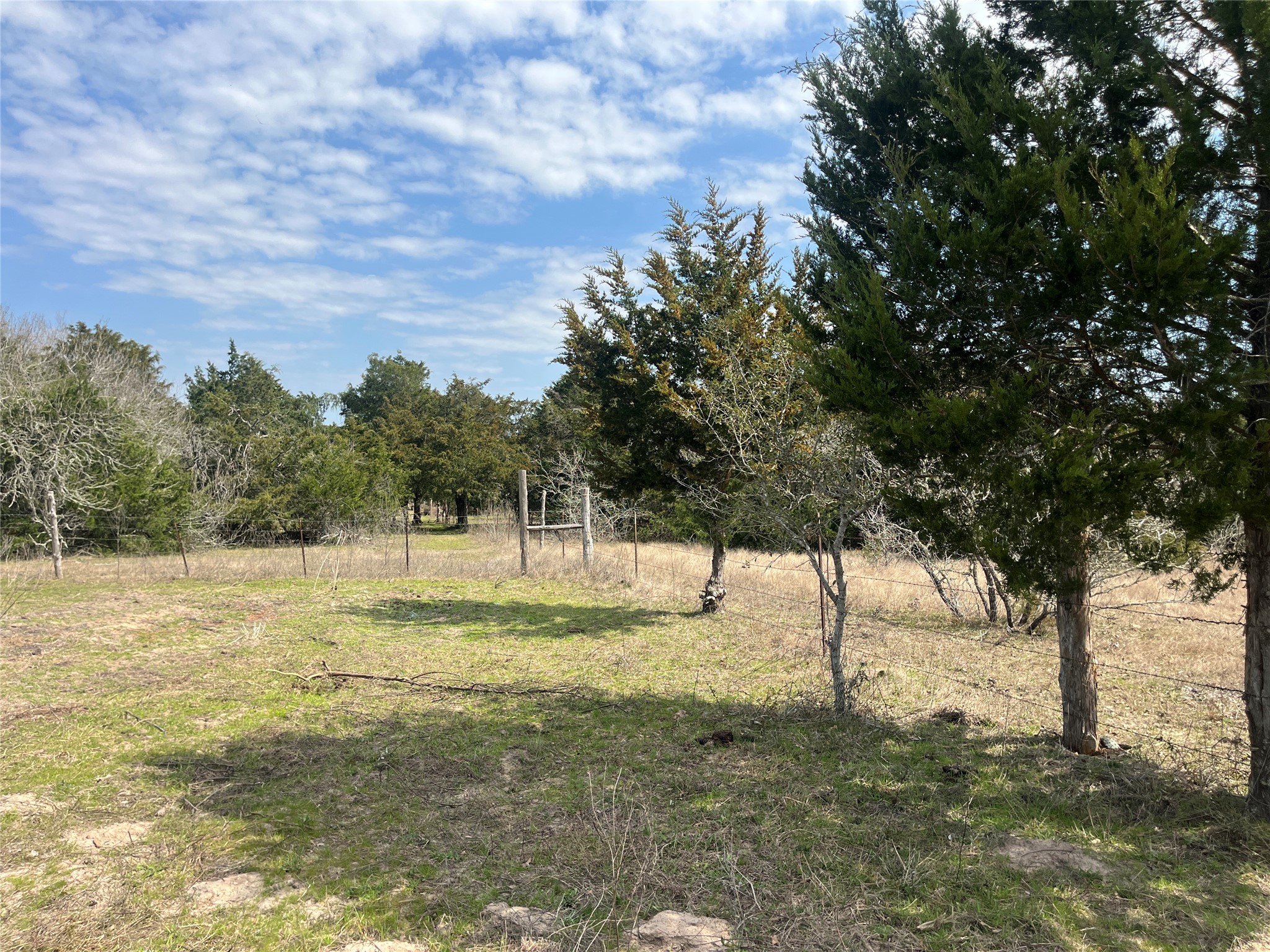 2330 Old Lockhart Road West Point, TX 78963 - Photo 22 of 22 a view of a yard with trees