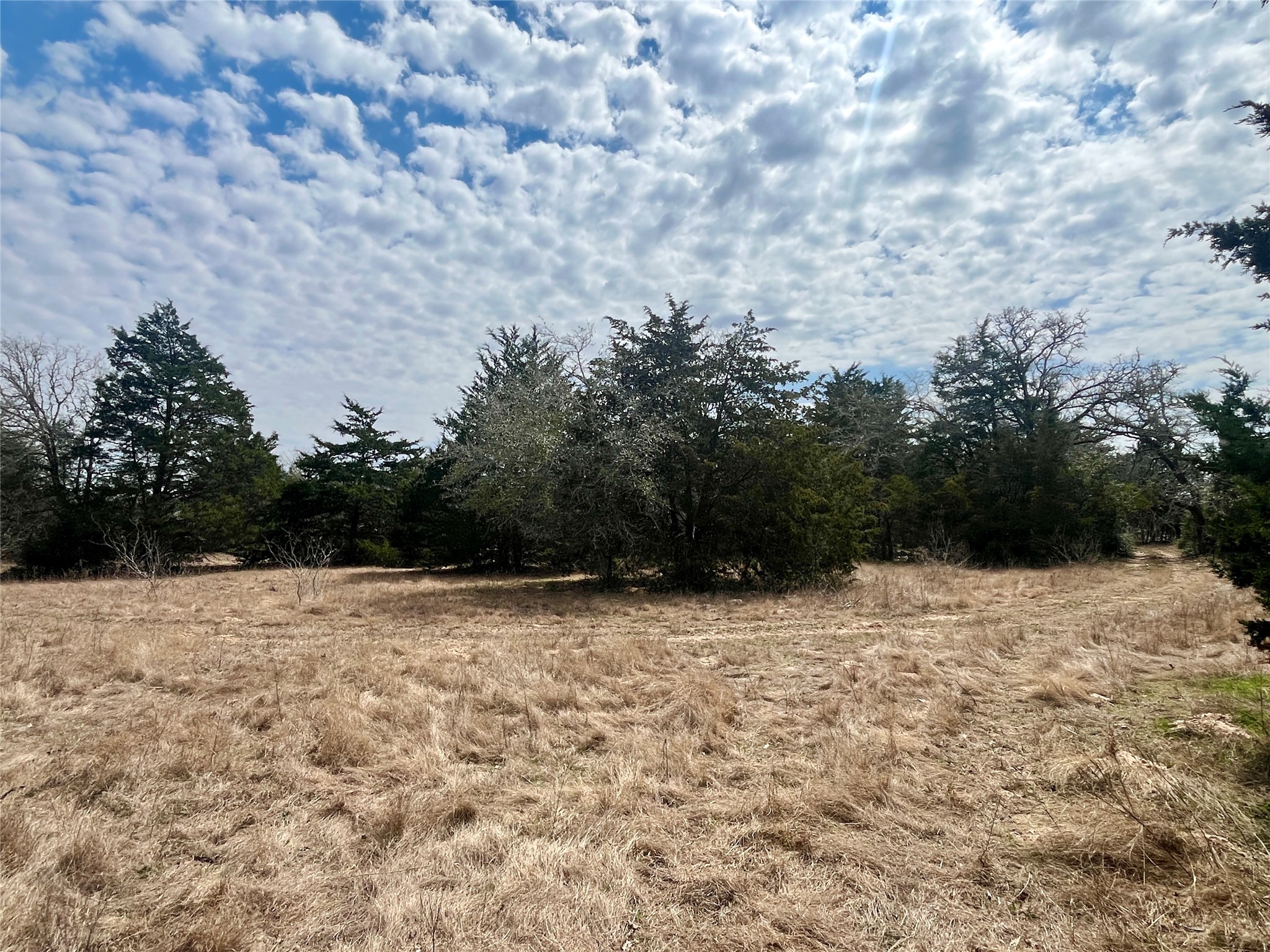 2330 Old Lockhart Road West Point, TX 78963 - Photo 8 of 22 a view of empty field with trees