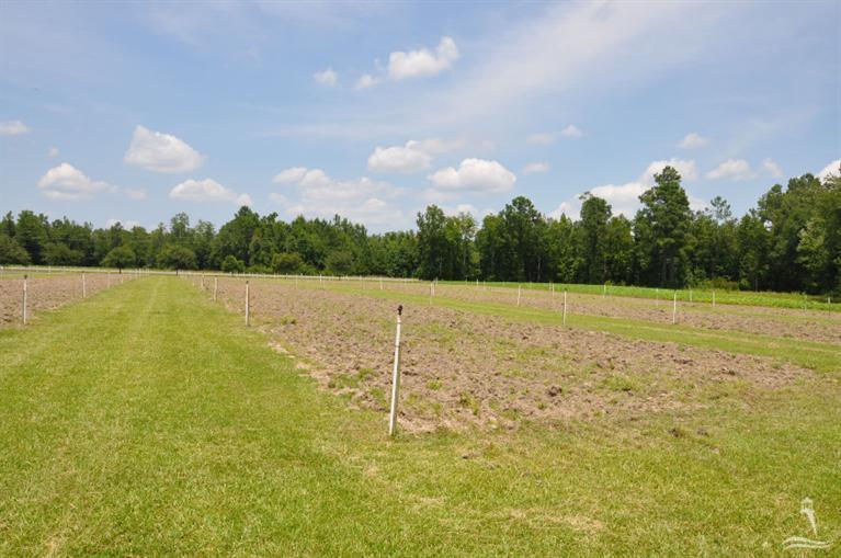6815 Myrtle Head Road Northwest Ash, NC 28420 - Photo 27 of 30 Additional Photo