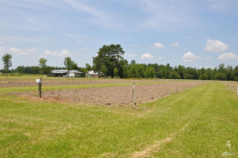 6815 Myrtle Head Road Northwest Ash, NC 28420 - Photo 29 of 30 Additional Photo