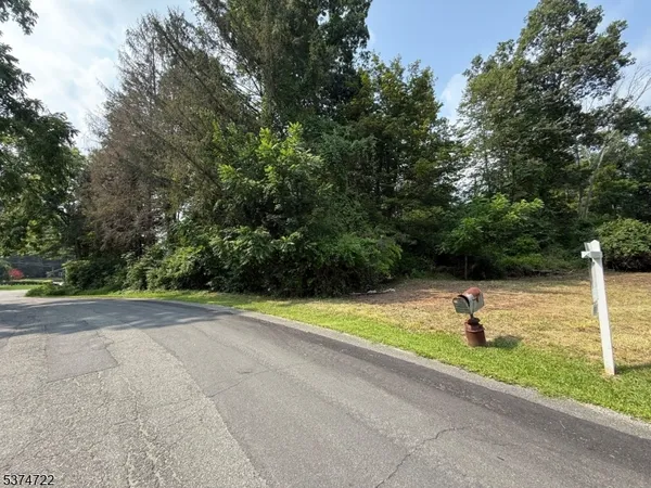 a view of a yard and a cars park side of a road