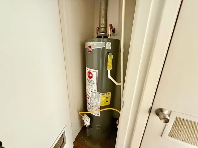 a view of backyard with tree