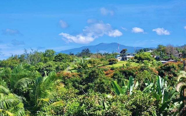 81-1010 St John's Road Kealakekua, HI 96750 - Photo 14 of 30 a view of a city