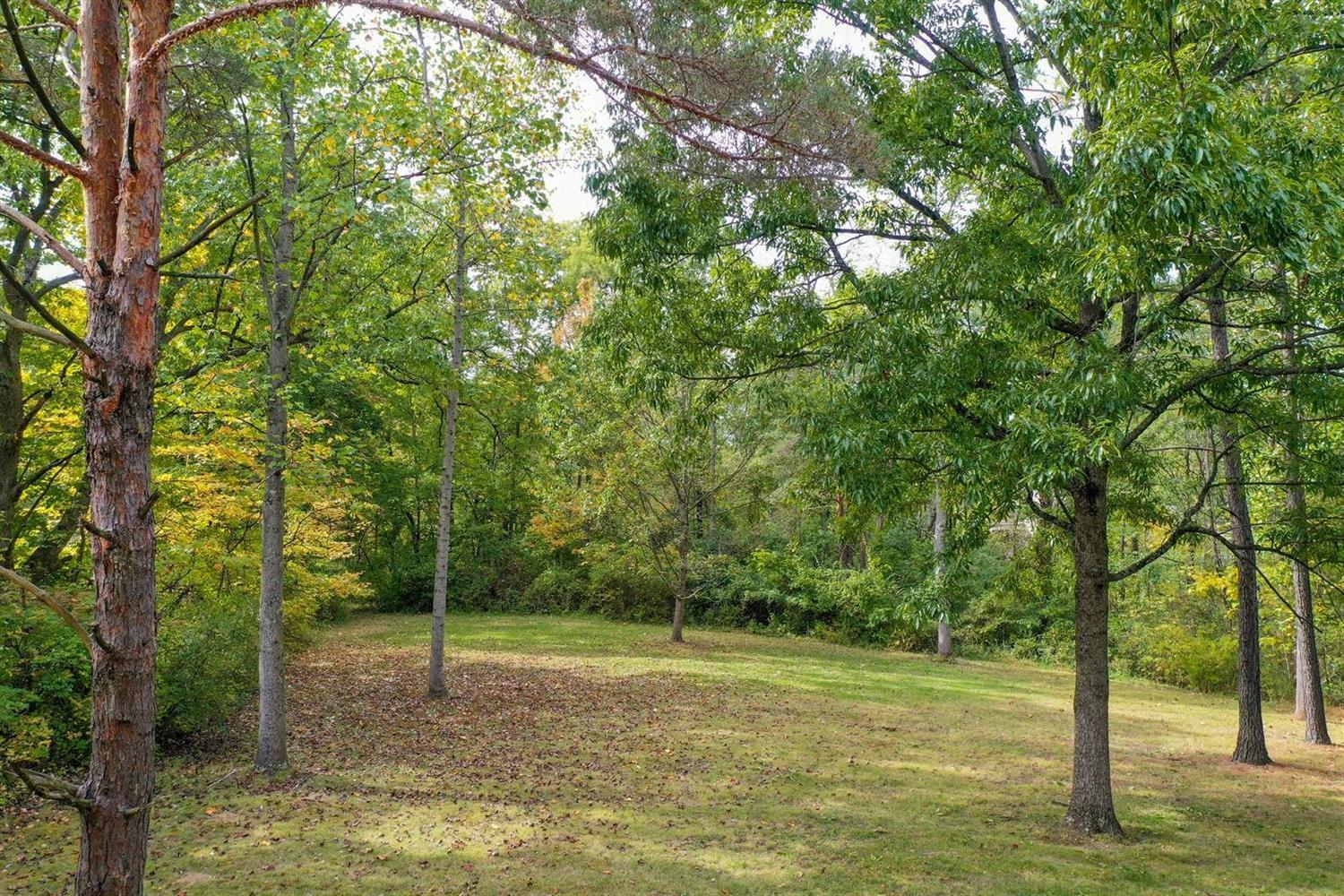 8640 Kugler Mill Road Cincinnati, OH 45243 - Photo 20 of 30 Gallery Image 20