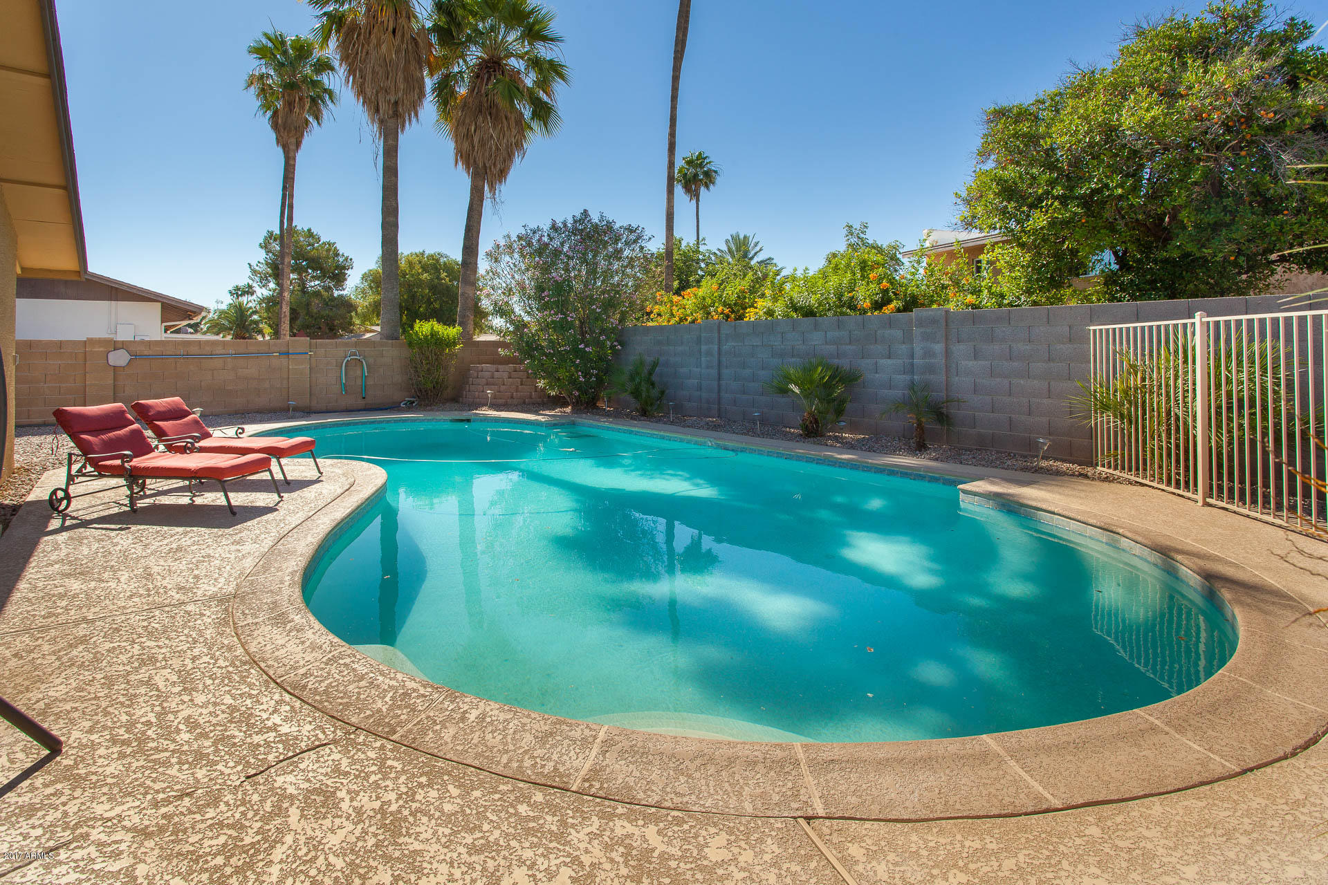 1079 East Carson Drive Tempe, AZ 85282 - Photo 14 of 18 Sparkling Pool