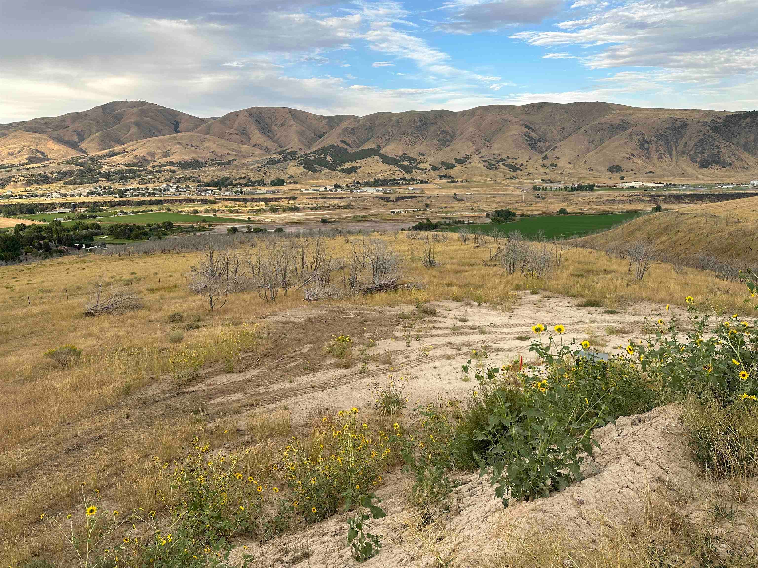 Lot 5 Ridgeview Lane Pocatello, ID 83204 - Photo 1 of 14 Gallery Image 1