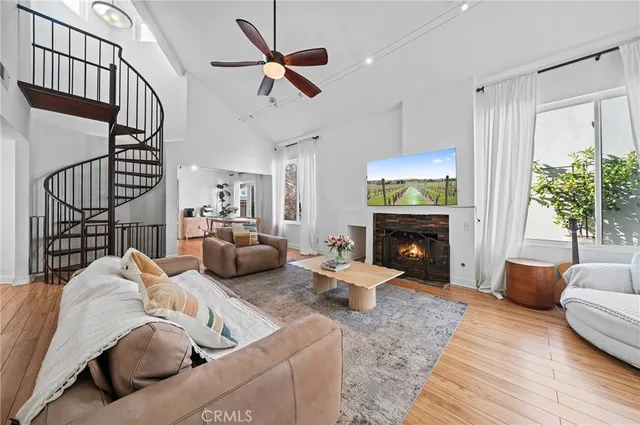 a living room with furniture fireplace and a potted plant
