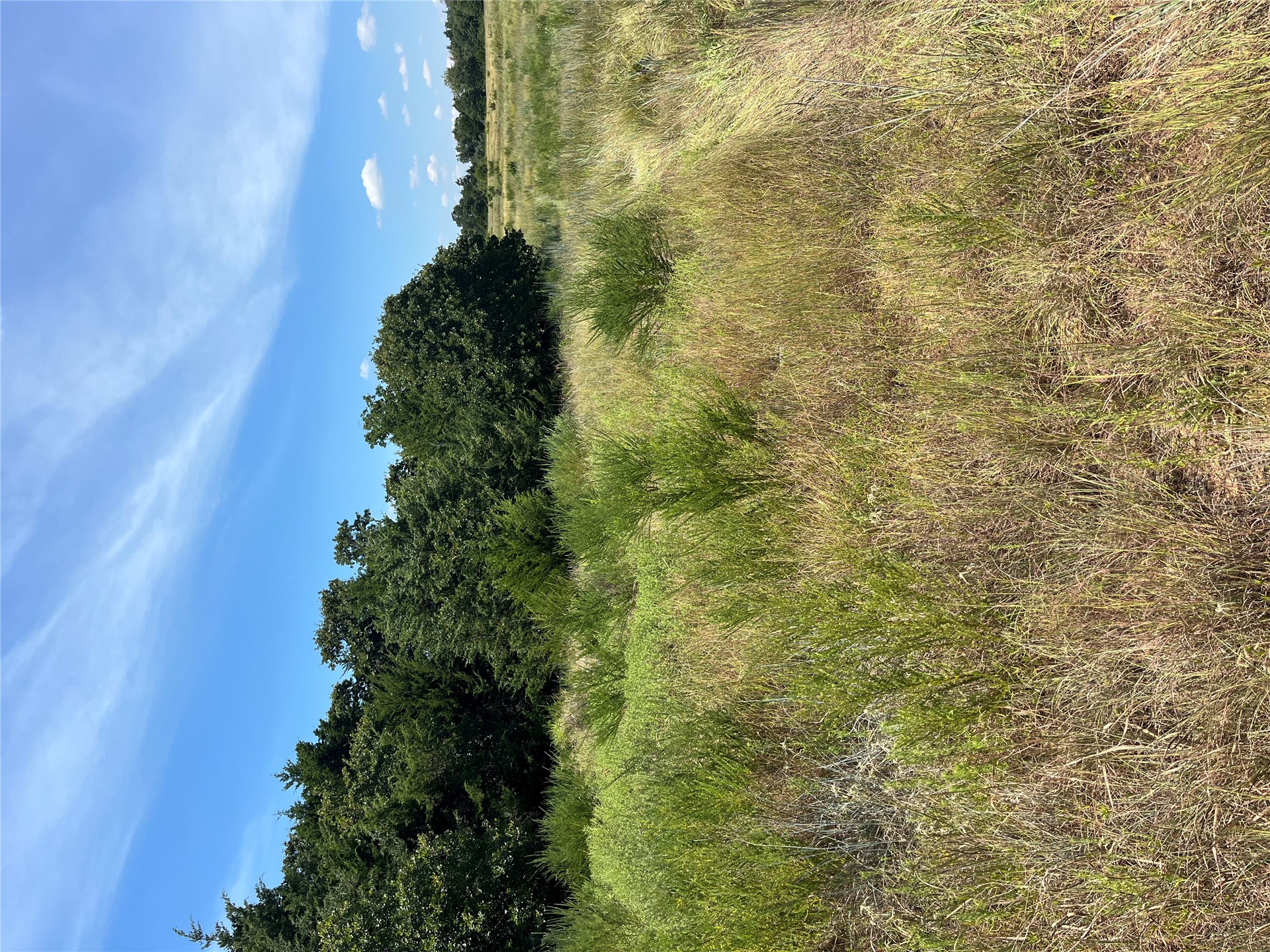 0 Range Road Perry, OK 73077 - Photo 25 of 32 Expansive open field with natural vegetation and mature trees bordering the perimeter under a clear sky