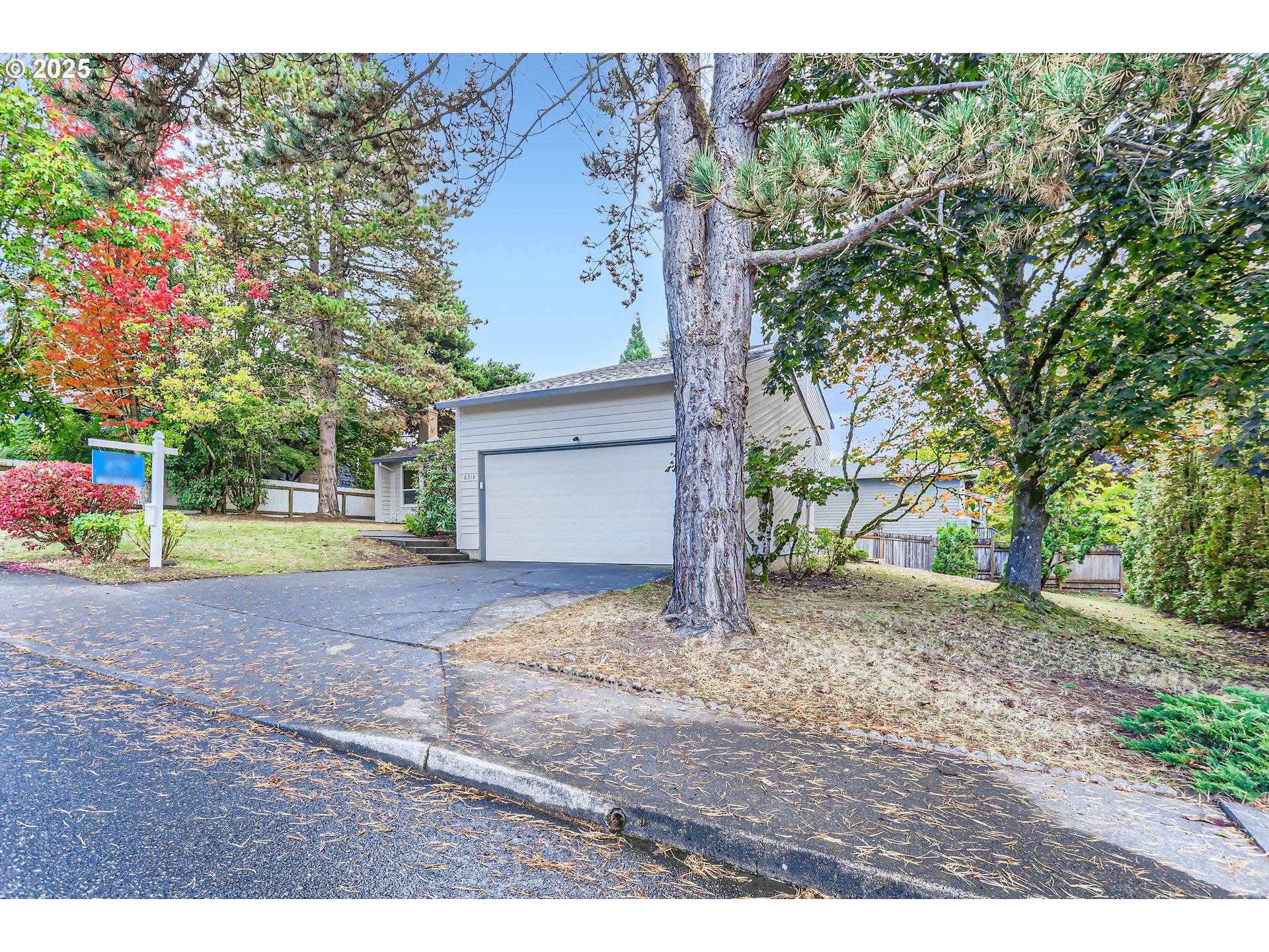 6518 Southwest 35th Avenue Portland, OR 97221 - Photo 3 of 36 a backyard of a house with lots of green space
