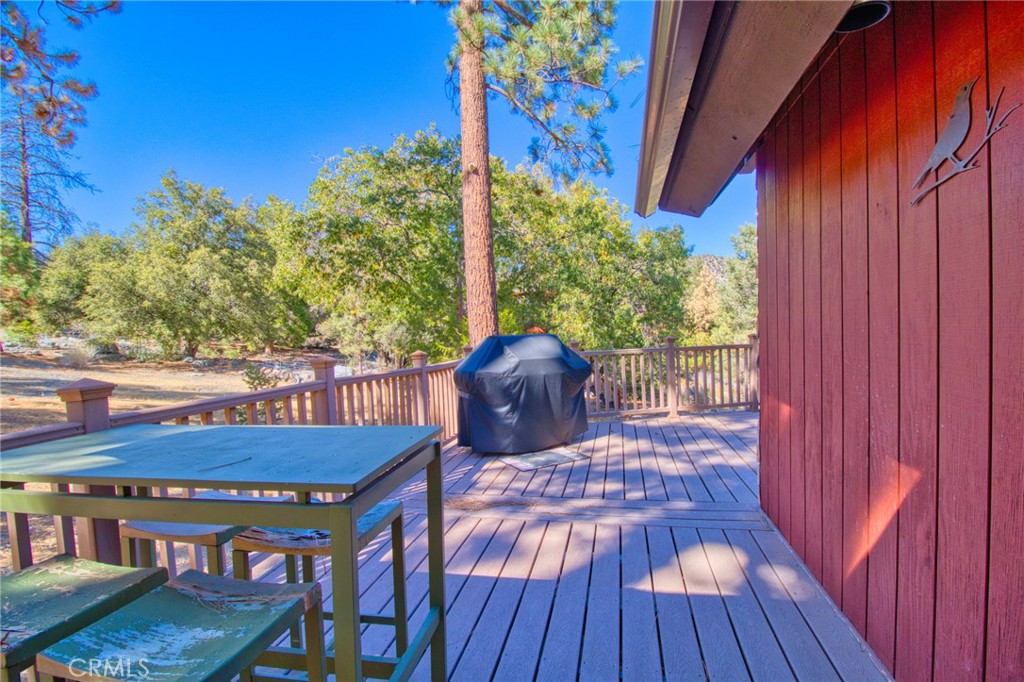 1604 Blackbird Road Wrightwood, CA 92397 - Photo 48 of 64