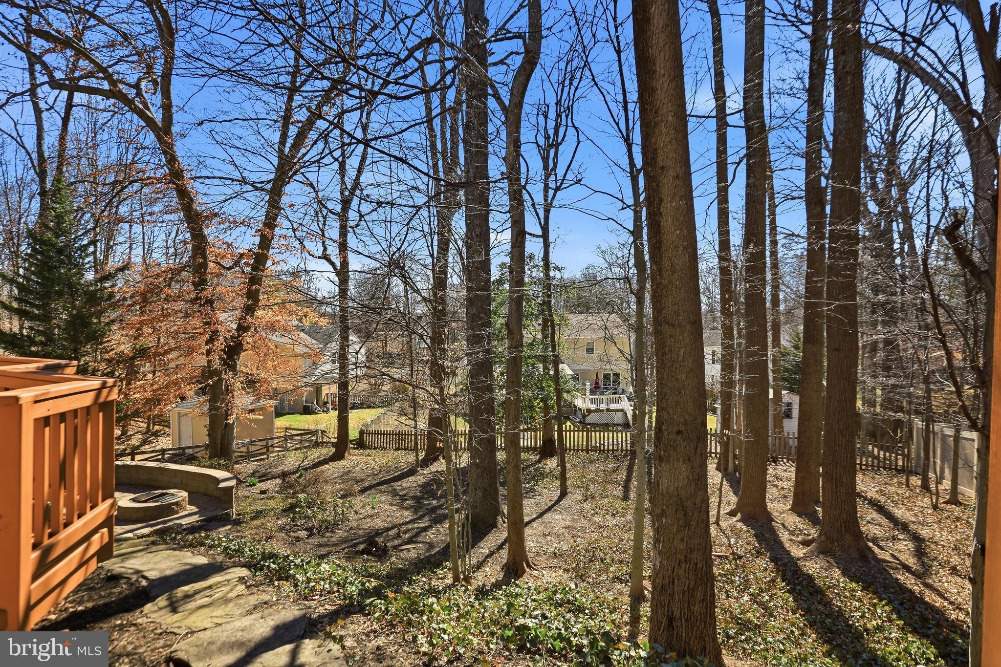9202 Rockefeller Lane Springfield, VA 22153 - Photo 35 of 38 a view of a forest