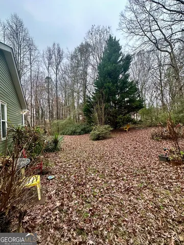 a view of backyard of house