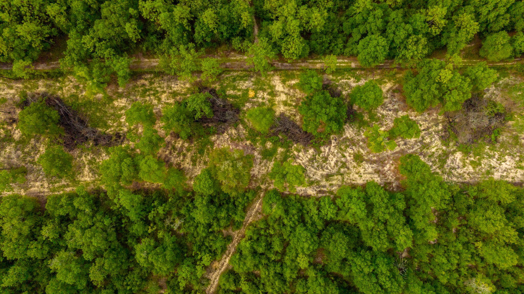 F-7 Old River Road Baker, FL 32531 - Photo 3 of 15