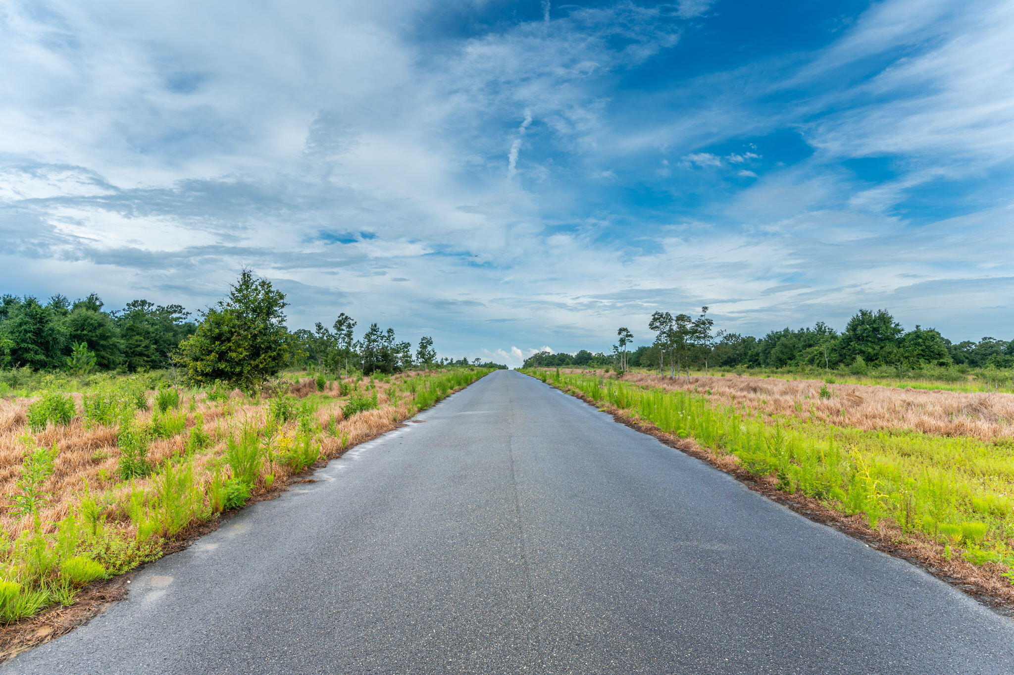 F-7 Old River Road Baker, FL 32531 - Photo 8 of 15 a view of a lake with a big yard