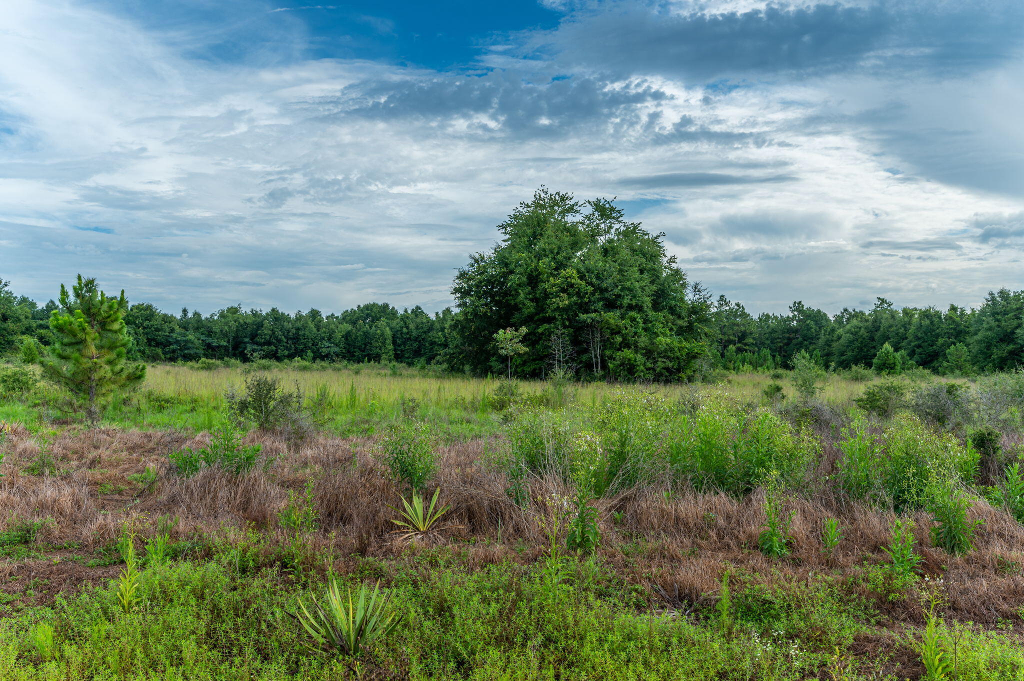F-7 Old River Road Baker, FL 32531 - Photo 9 of 15 a view of a lake with a yard