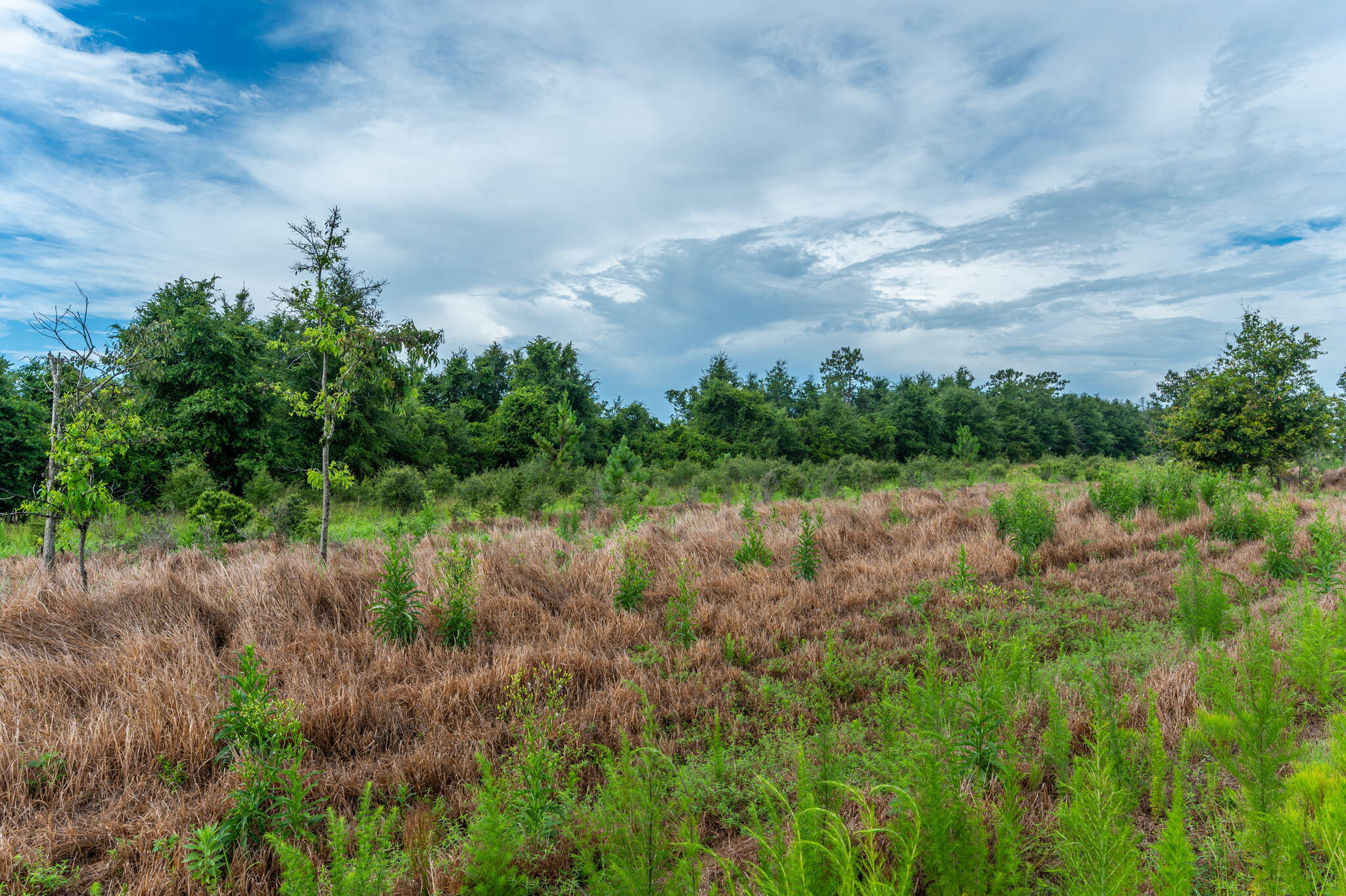 F-7 Old River Road Baker, FL 32531 - Photo 10 of 15 a view of a lake with a yard