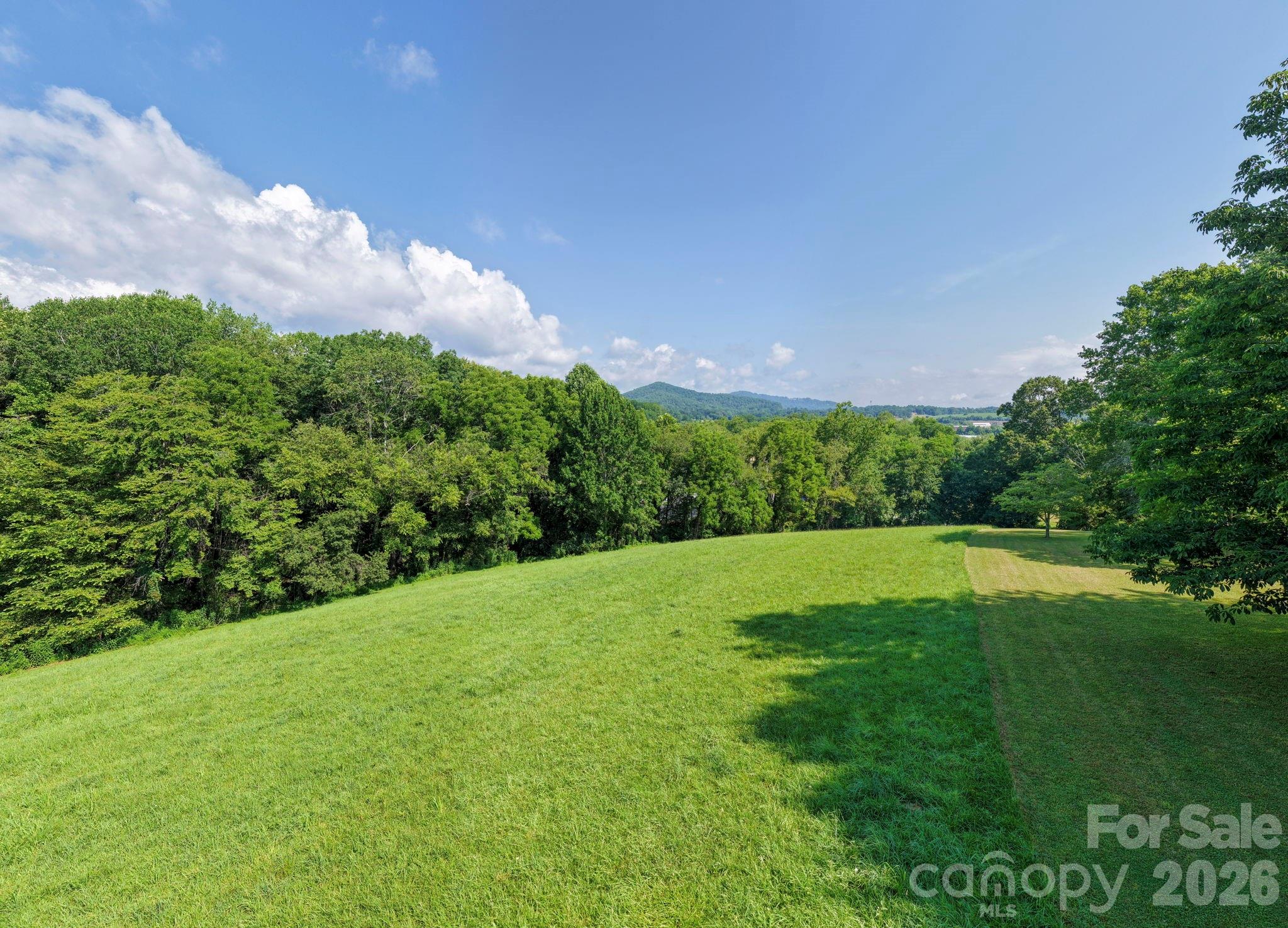 10 Old Turnpike Road Mills River, NC 28759 - Photo 40 of 40