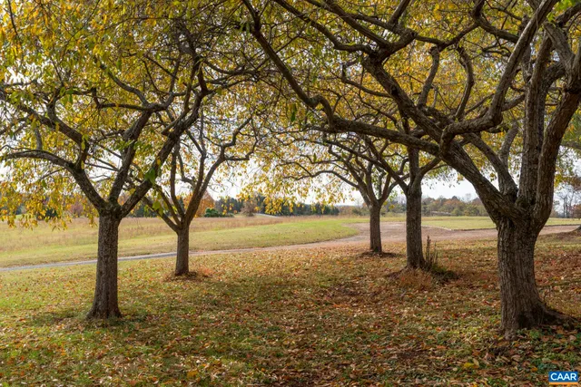 $3,750,000 | 268 Springdale Drive, Keswick, VA 22947