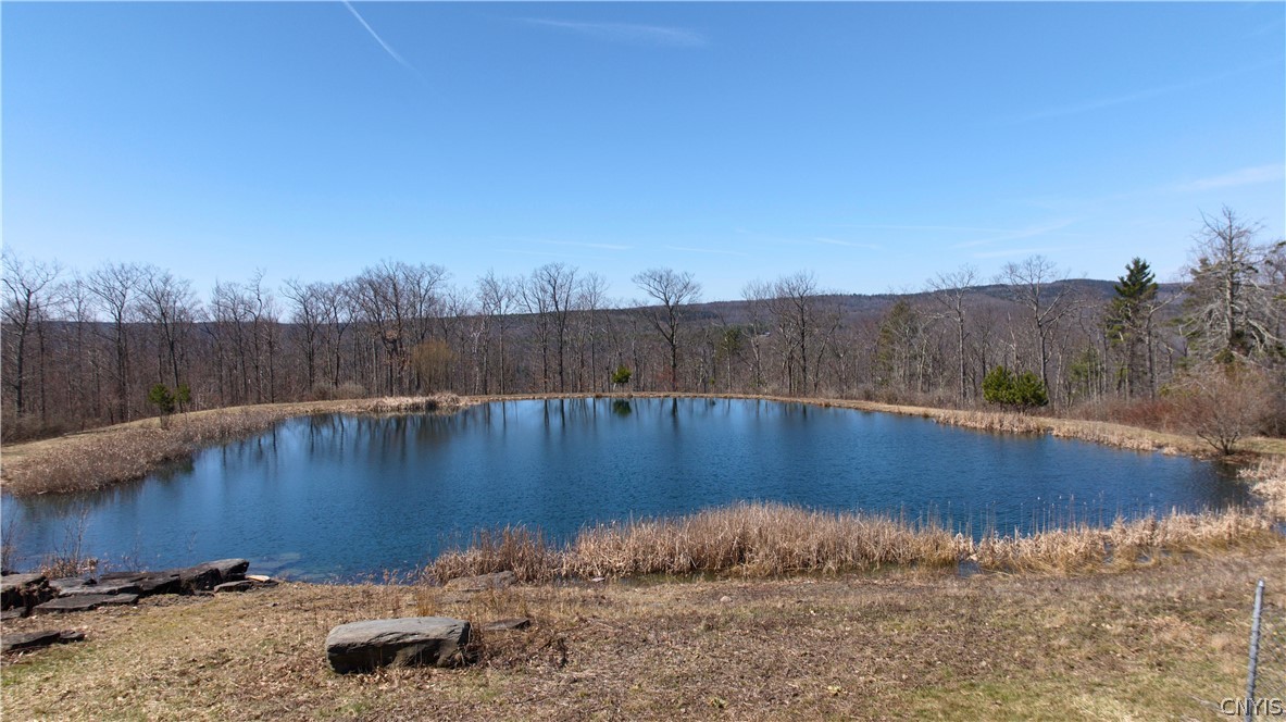 285 Patria Road Fulton, NY 12187 - Photo 9 of 21