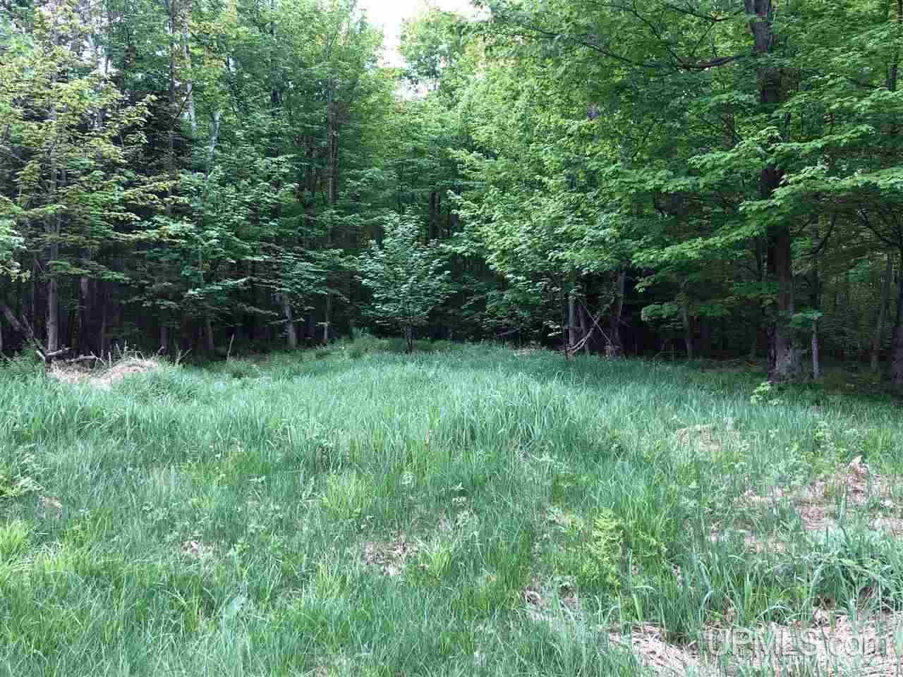 Tbd Will Pryor Road Big Bay, MI 49808 - Photo 11 of 18