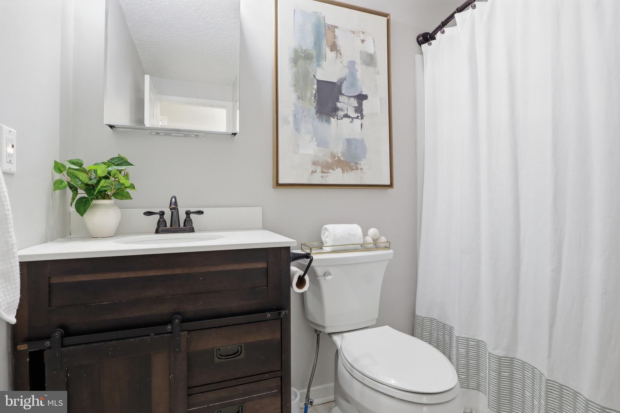 339 Lay Road Delta, PA 17314 - Photo 27 of 60 a bathroom with a sink mirror vanity and toilet