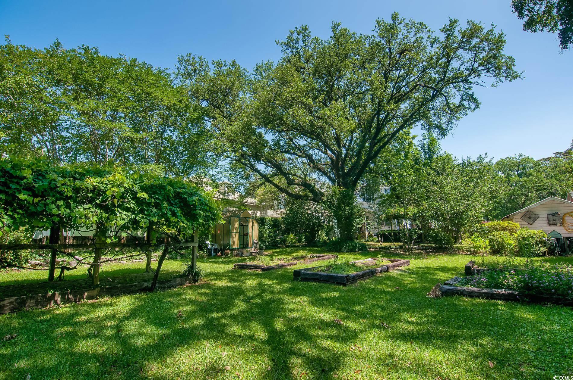 417 Prince Street Georgetown, SC 29440 - Photo 23 of 25 Gallery Image 23