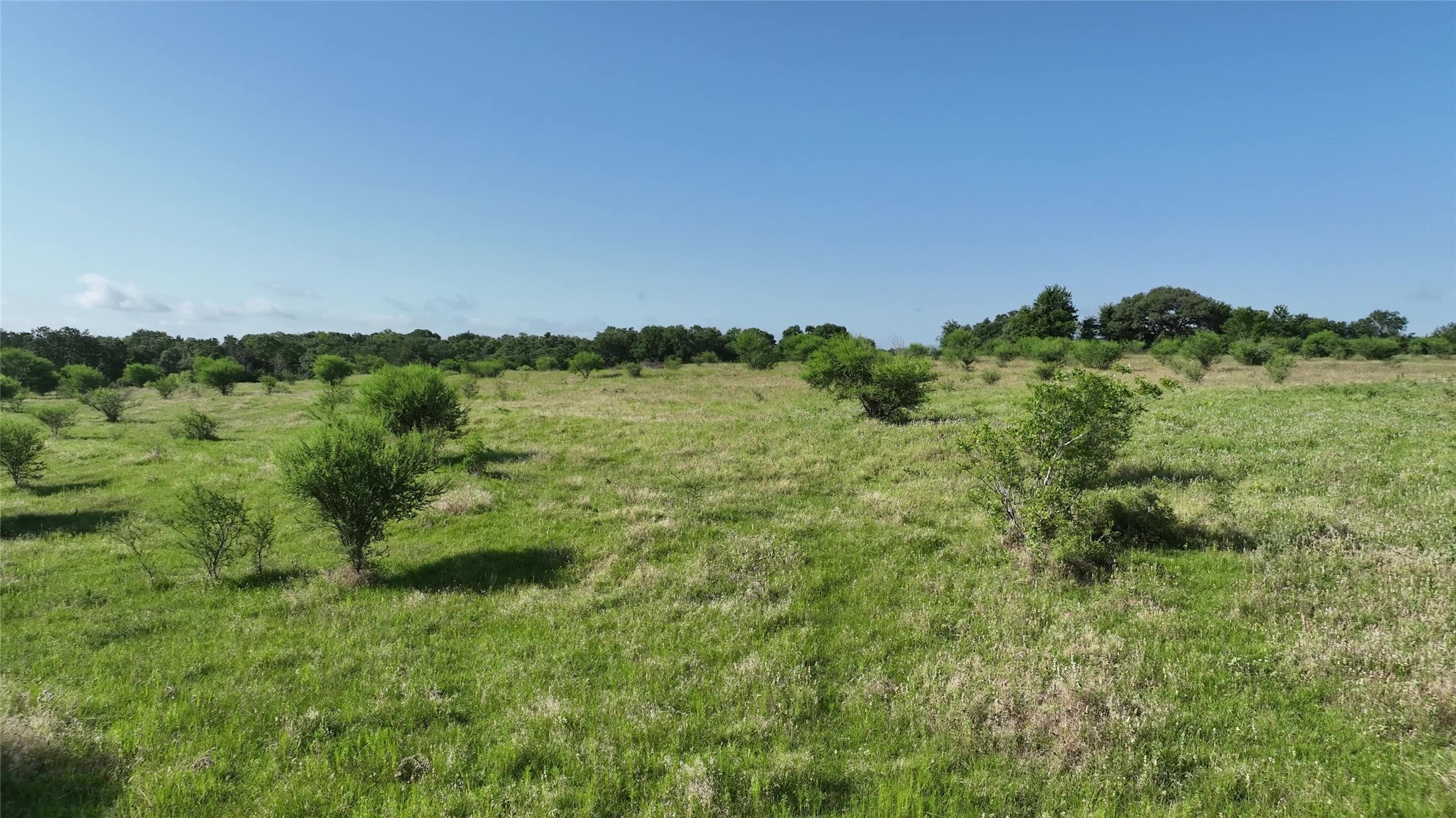1649 County Road 209 Weimar, TX 78962 - Photo 6 of 27 a view of a lush green outdoor space with a swimming pool and valleys in the background