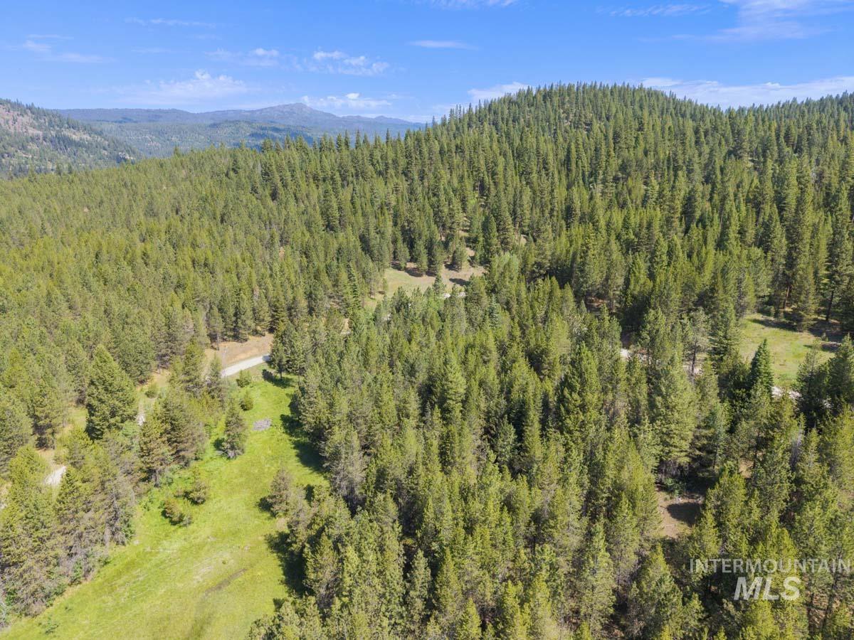 178 Tripod View Drive Cascade, ID 83611 - Photo 13 of 35