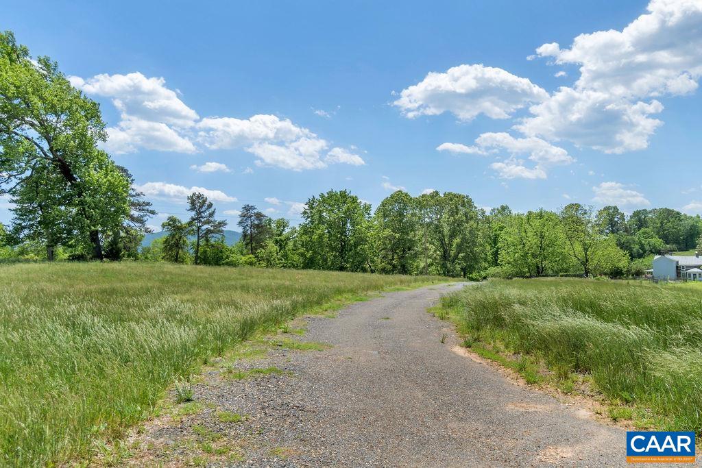 6480 Dick Woods Road Charlottesville, VA 22903 - Photo 11 of 21 Gallery Image 11