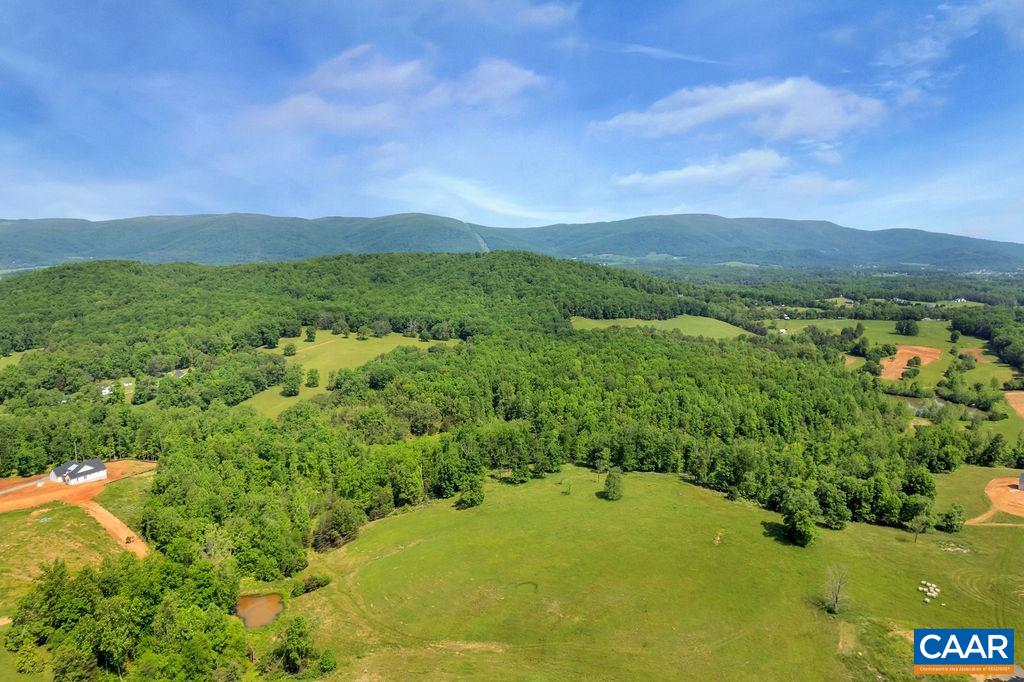 6480 Dick Woods Road Charlottesville, VA 22903 - Photo 8 of 21 Gallery Image 8