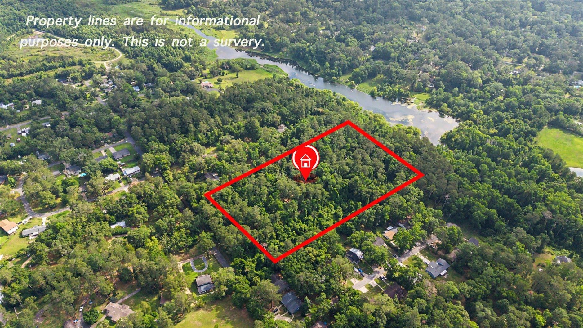 3101 Livingston Road Tallahassee, FL 32303 - Photo 4 of 42