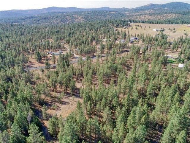 Nine South Swenson Road Deer Park, WA 99006 - Photo 11 of 23 Gallery Image 11