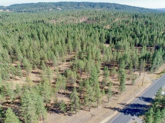 Nine South Swenson Road Deer Park, WA 99006 - Photo 15 of 23 Gallery Image 15