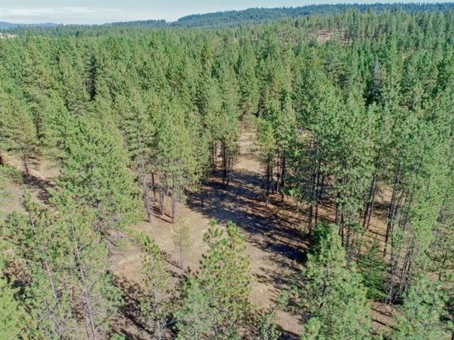 Nine South Swenson Road Deer Park, WA 99006 - Photo 18 of 23 Gallery Image 18