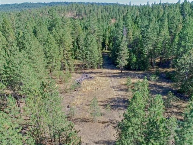 Nine South Swenson Road Deer Park, WA 99006 - Photo 19 of 23 Gallery Image 19
