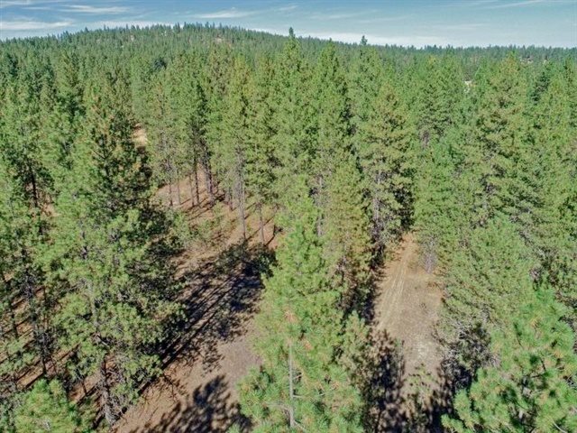 Nine South Swenson Road Deer Park, WA 99006 - Photo 20 of 23 Gallery Image 20