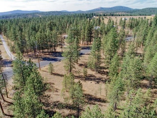 Nine South Swenson Road Deer Park, WA 99006 - Photo 21 of 23 Gallery Image 21