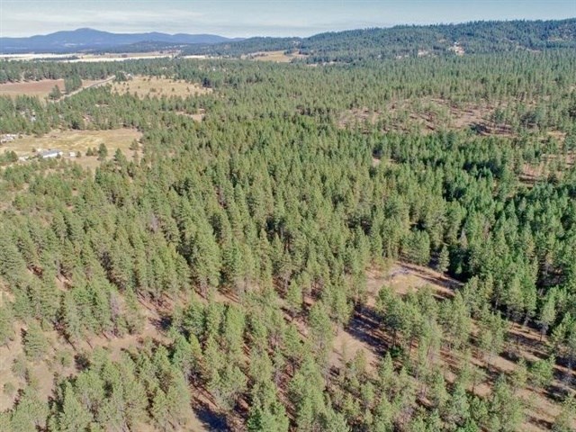 Nine South Swenson Road Deer Park, WA 99006 - Photo 6 of 23 Gallery Image 6